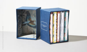 Lee más sobre el artículo La importancia de un empaque para kits de libros